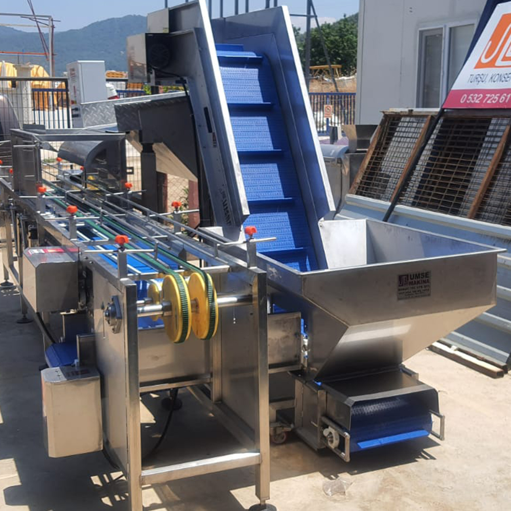 Shaking Filling Machine 2