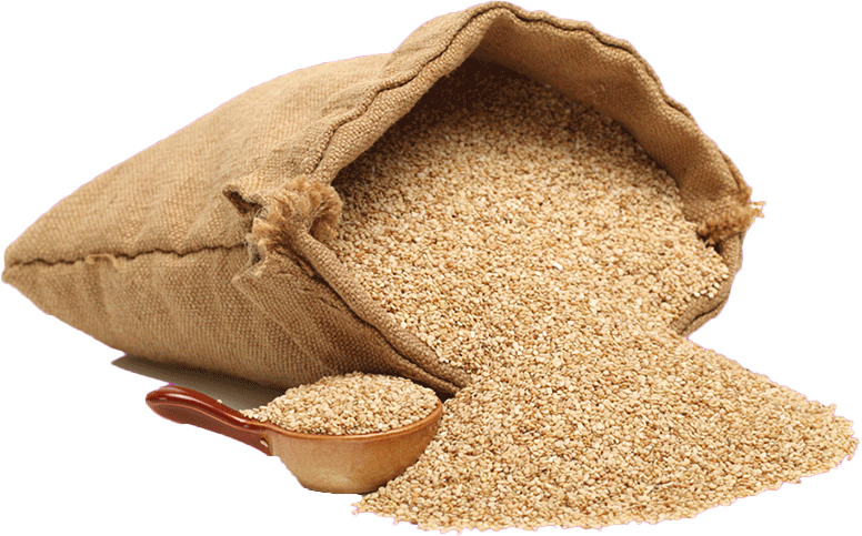 Vibrating Sesame Bunker 2
